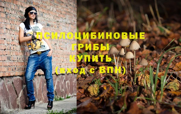 ECSTASY Бронницы